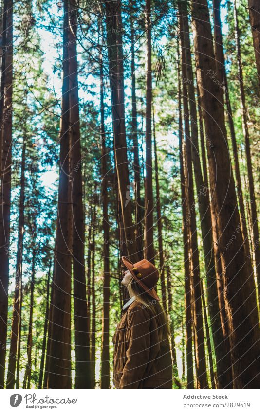 Frau, die im grünen Wald steht. Tourist Natur aussruhen Umwelt hübsch natürlich Jahreszeiten Pflanze Blatt Licht frisch hell Tag Sonnenlicht Holz Wachstum