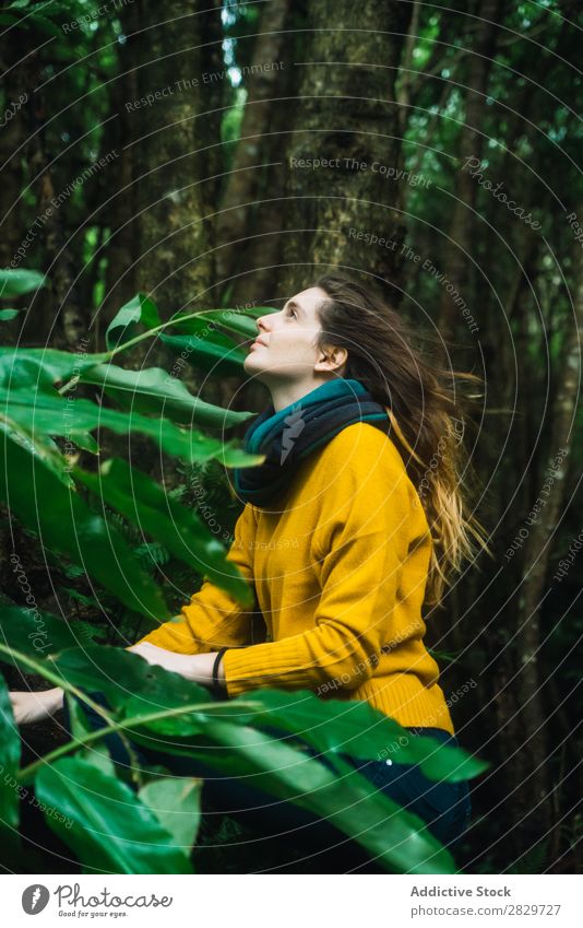 Frau, die im Wald aufschaut. grün hübsch Ferien & Urlaub & Reisen Tourismus Einsamkeit Natur Landschaft Baum Rüssel Pflanze Park Jahreszeiten Nebel Umwelt Szene