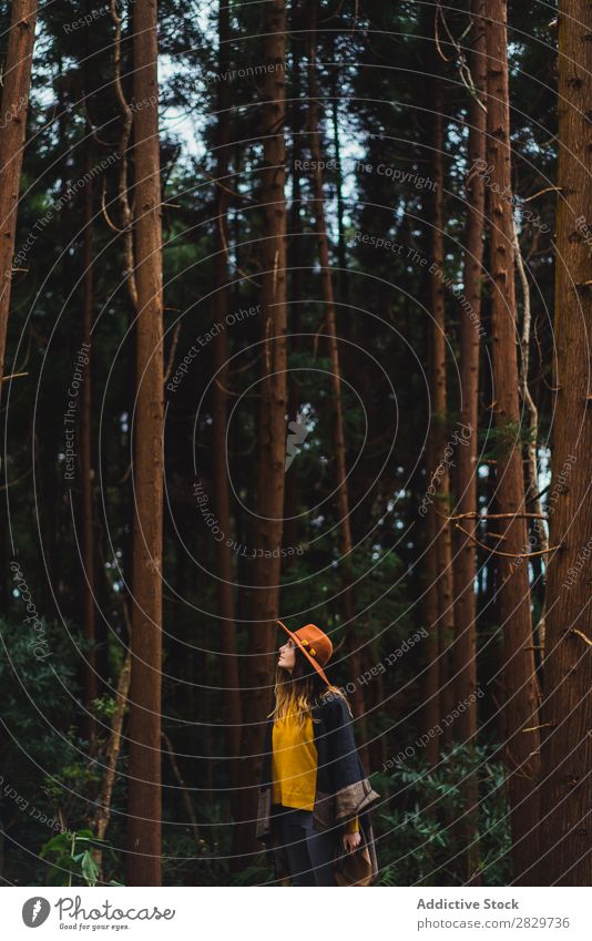 Frau, die im Wald posiert. Baum harmonisch Umwelt Energie Freiheit Liebe Reisender Gefühle Verbindung Natur Rüssel Schutz natürlich Außenaufnahme Abenteuer