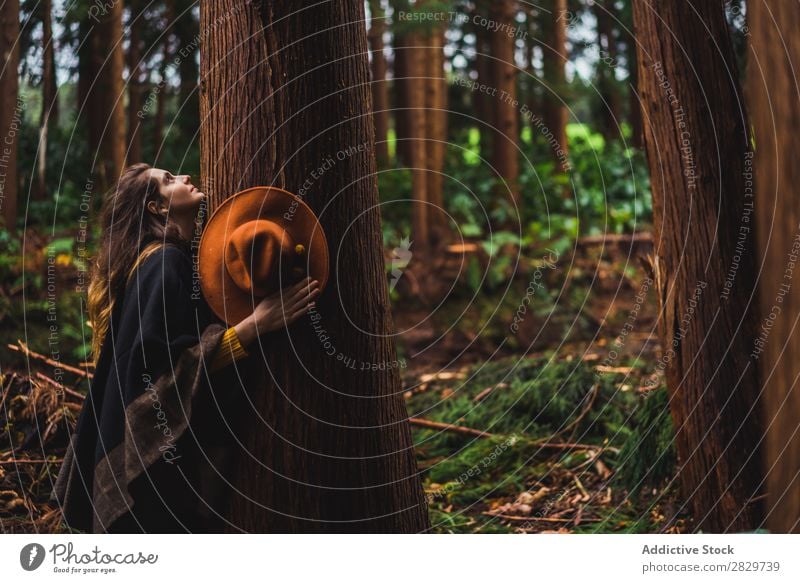 Frau umarmt Baum im Wald Umarmen harmonisch Umwelt Energie Freiheit Liebe umarmend Reisender Gefühle Verbindung Natur Rüssel Schutz natürlich Außenaufnahme