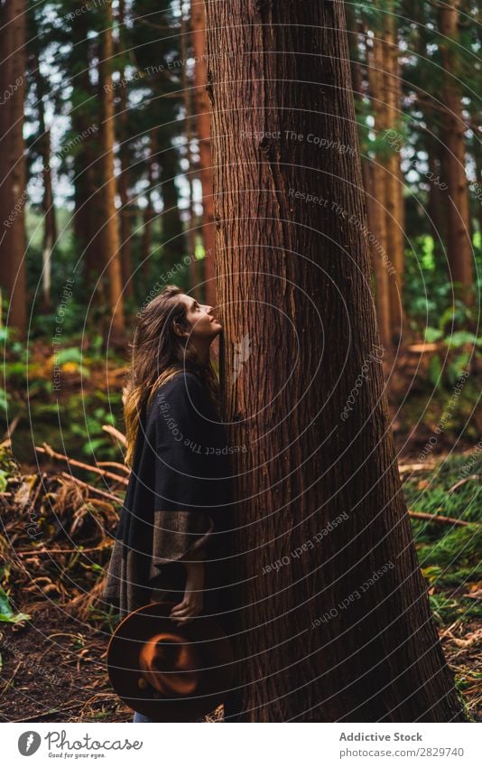 Frau umarmt Baum im Wald Umarmen harmonisch Umwelt Energie Freiheit Liebe umarmend Reisender Gefühle Verbindung Natur Rüssel Schutz natürlich Außenaufnahme