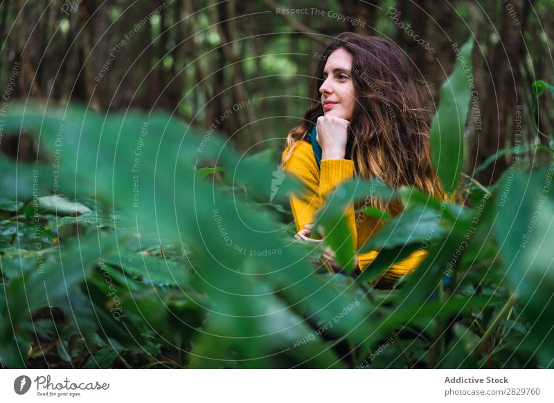 Nachdenkliche Frau im Wald grün träumen besinnlich Fürsorge hübsch Ferien & Urlaub & Reisen Tourismus Einsamkeit Natur Landschaft Baum Rüssel Pflanze Park