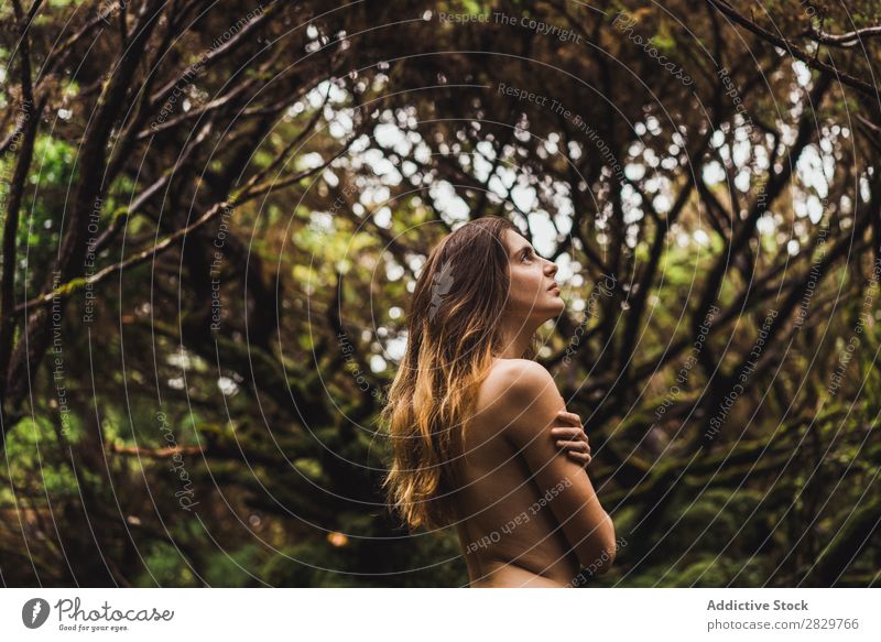 Sinnliches Aktmodell in grünen Bäumen Frau nackt Baum Moos Beautyfotografie Natur frisch schön zart lange Haare Model Körper Wald Angebot Haut Erotik