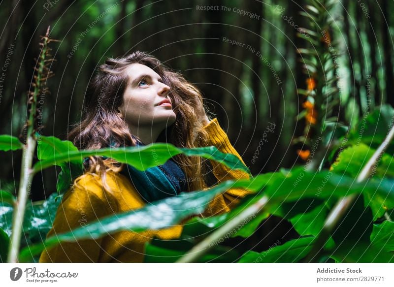 Frau, die im Wald aufschaut. grün hübsch Ferien & Urlaub & Reisen Tourismus Einsamkeit Natur Landschaft Baum Rüssel Pflanze Park Jahreszeiten Nebel Umwelt Szene