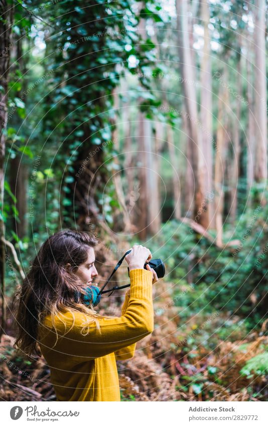 Frau macht Schüsse im Wald grün Fotograf Fotokamera hübsch Ferien & Urlaub & Reisen Tourismus Einsamkeit Natur Landschaft Baum Rüssel Pflanze Park Jahreszeiten