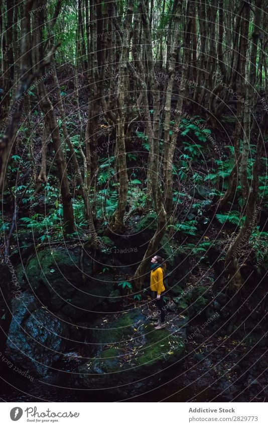 Junge Frau im grünen Wald stehend hübsch Ferien & Urlaub & Reisen Tourismus Einsamkeit Natur Landschaft Baum Rüssel Pflanze Park Jahreszeiten Nebel Umwelt Szene