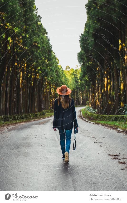 Fotograf, der im sonnigen Wald posiert. Frau hübsch grün Hut Natur Umwelt natürlich Jahreszeiten Pflanze Blatt Licht frisch hell Tag Sonnenlicht Holz Wachstum