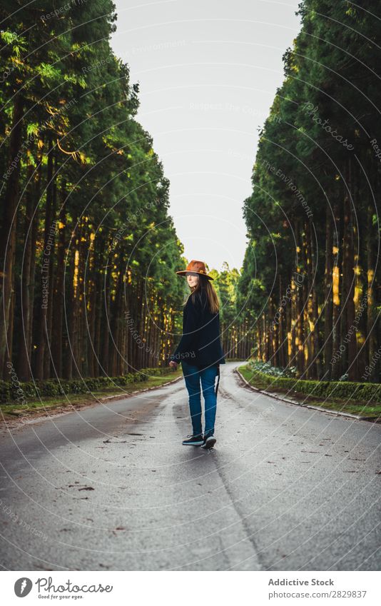 Fotograf, der im sonnigen Wald posiert. Frau hübsch grün Hut Natur Umwelt natürlich Jahreszeiten Pflanze Blatt Licht frisch hell Tag Sonnenlicht Holz Wachstum