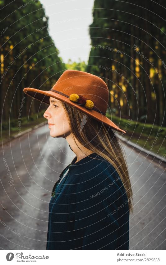 Junge Frau im sonnigen Wald hübsch grün Hut Wegsehen Natur Umwelt natürlich Jahreszeiten Pflanze Blatt Licht frisch hell Tag Sonnenlicht Holz Wachstum Rüssel