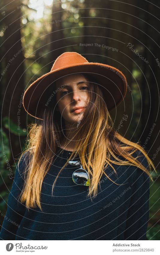 Junge Frau im sonnigen Wald hübsch grün Hut Natur Umwelt natürlich Jahreszeiten Pflanze Blatt Licht frisch hell Tag Sonnenlicht Holz Wachstum Rüssel Landschaft