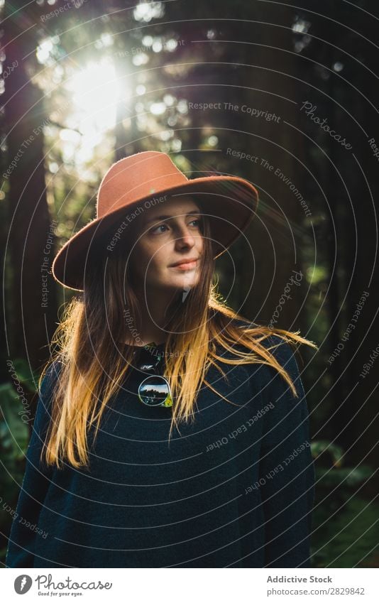 Junge Frau im sonnigen Wald hübsch grün Hut Wegsehen Natur Umwelt natürlich Jahreszeiten Pflanze Blatt Licht frisch hell Tag Sonnenlicht Holz Wachstum Rüssel