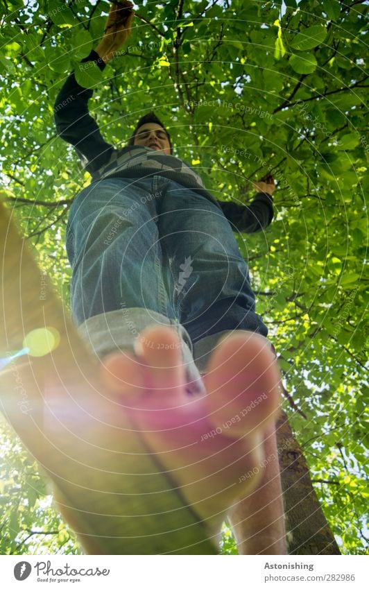 von unten Mensch maskulin Junger Mann Jugendliche Bruder Körper Haut Kopf Gesicht Arme Beine Fuß 1 18-30 Jahre Erwachsene Wetter Schönes Wetter Pflanze Baum