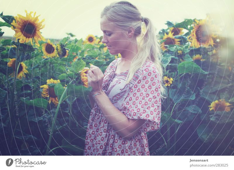 Blondes Mädchen auf Blumenwiese Mensch feminin Junge Frau Jugendliche Leben 1 18-30 Jahre Erwachsene Natur Sommer blond Zopf Blumenstrauß natürlich Lebensfreude