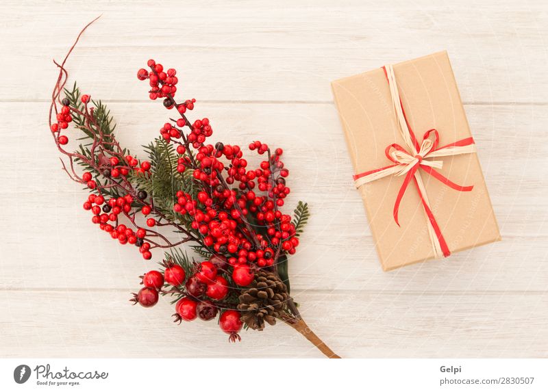 Weihnachtsgeschenk mit einem schönen roten Weihnachtsschmuck Frucht Winter Dekoration & Verzierung Feste & Feiern Weihnachten & Advent Natur Pflanze Baum Blatt