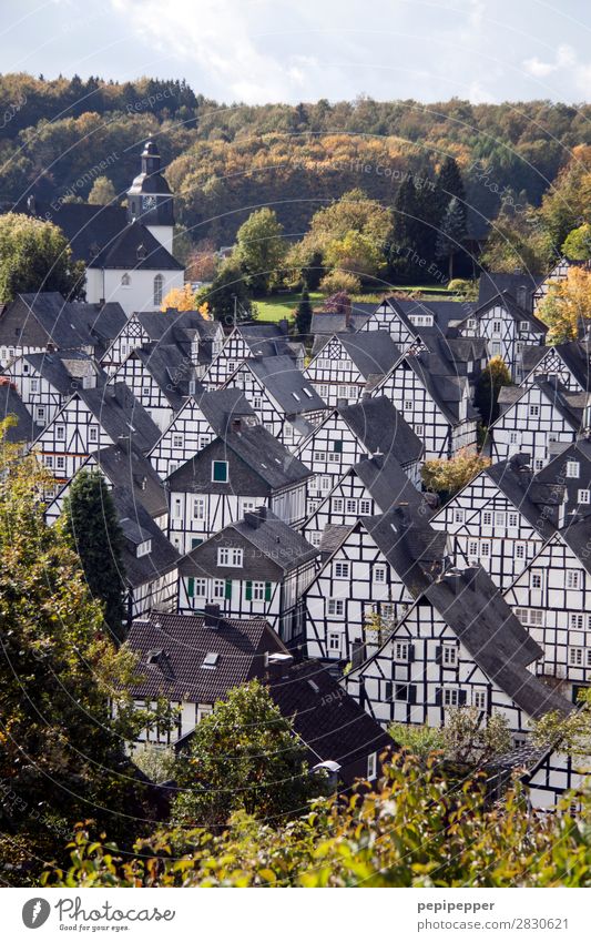 Freudenberg Ferien & Urlaub & Reisen Tourismus Häusliches Leben Wohnung Haus Schönes Wetter Baum Wald Hügel Deutschland Kleinstadt Stadtzentrum Altstadt Skyline