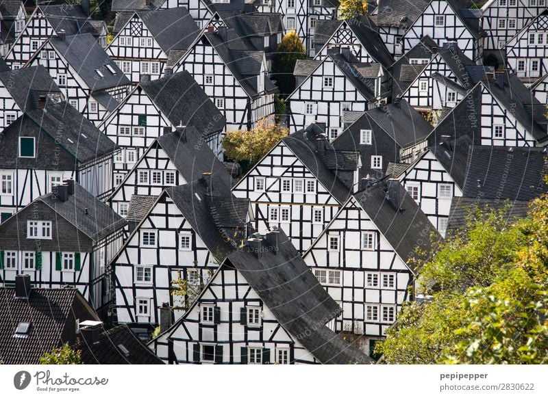 Freudenberg Tourismus Ausflug Häusliches Leben Wohnung Haus Hausbau einrichten Nordrhein-Westfalen Dorf Kleinstadt Altstadt Skyline Einfamilienhaus Platz