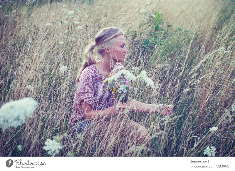 Blondes Mädchen auf Blumenwiese Mensch feminin Junge Frau Jugendliche 1 18-30 Jahre Erwachsene Natur Sommer blond Zopf schön natürlich Lebensfreude Romantik