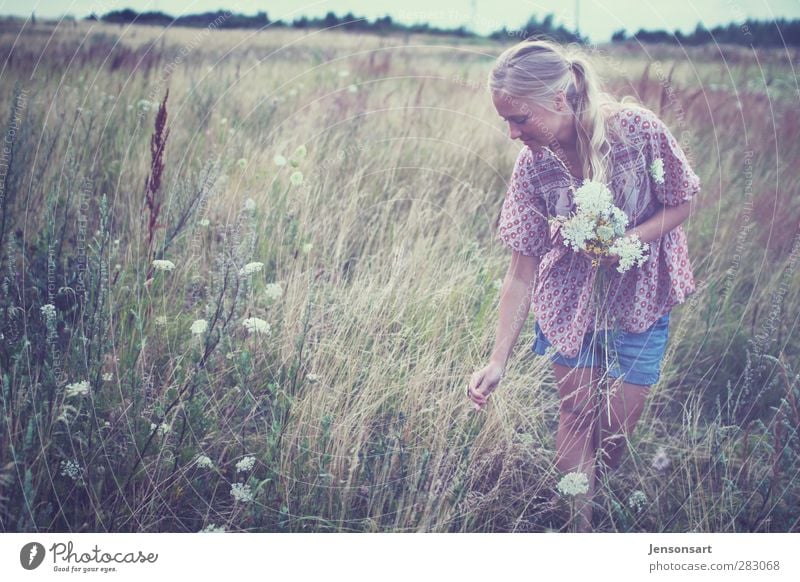 Blondes Mädchen auf Blumenwiese Mensch feminin Junge Frau Jugendliche Leben 1 18-30 Jahre Erwachsene Natur Sommer Wiese blond Zopf schön natürlich Zufriedenheit