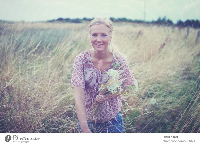 Blondes Mädchen auf Wiese Mensch feminin Junge Frau Jugendliche 1 18-30 Jahre Erwachsene Natur Sommer Blume blond Zopf Erholung schön natürlich Gefühle Freude