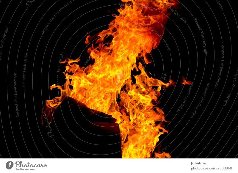 Rote Feuerflamme auf schwarzem Hintergrund Natur hell gelb rot Energie Flamme lodernd Brandwunde Feuerstelle Temperatur Gefahr erwärmen brennend Licht