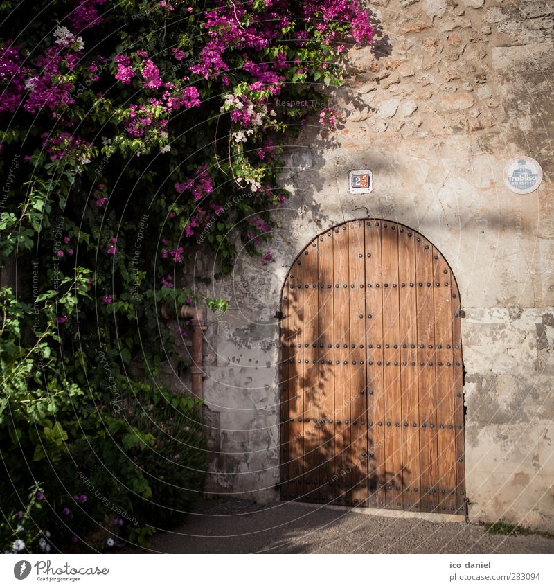 Geschlossen Lifestyle Ferien & Urlaub & Reisen Tourismus Ausflug Abenteuer Freiheit Städtereise Haus Pflanze Santanyi Spanien Europa Dorf Kleinstadt Stadtrand