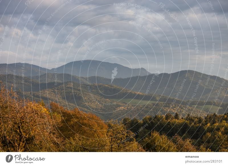 Belchen Ferien & Urlaub & Reisen Tourismus Ausflug Sommer Berge u. Gebirge wandern Umwelt Natur Landschaft Himmel Wolken Herbst Wetter Baum Wald Hügel hoch