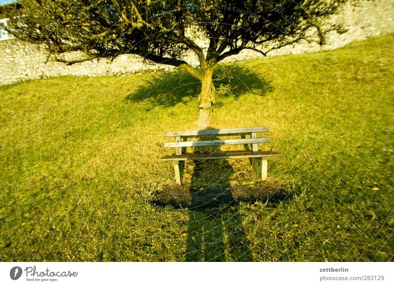 Diverse Schatten Sonne Natur Landschaft Sonnenaufgang Sonnenuntergang Wetter Pflanze Baum Garten Park Wiese Fröhlichkeit Zufriedenheit Lebensfreude