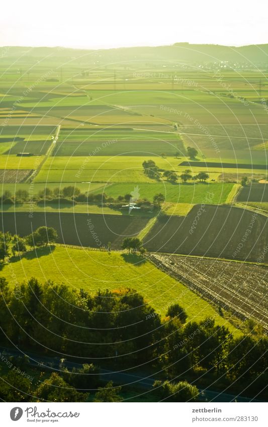 Amöneburg Tourismus Ferne Umwelt Natur Landschaft Horizont Sommer Klima Klimawandel Wetter Schönes Wetter Grünpflanze Wiese Feld Perspektive Unendlichkeit