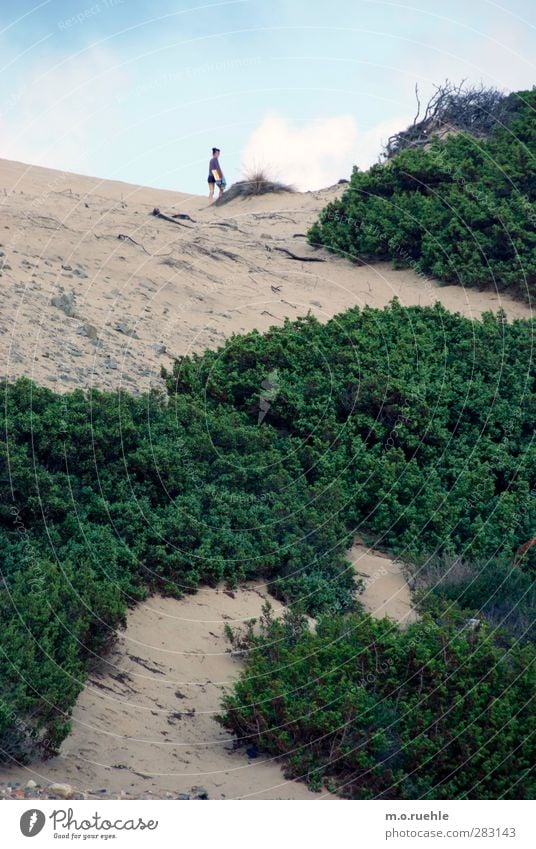 Vorm Verschwinden Lifestyle Ferien & Urlaub & Reisen Ausflug Ferne Freiheit Expedition Sommer Sommerurlaub Strand Mensch feminin Körper 1 Natur Landschaft Sand