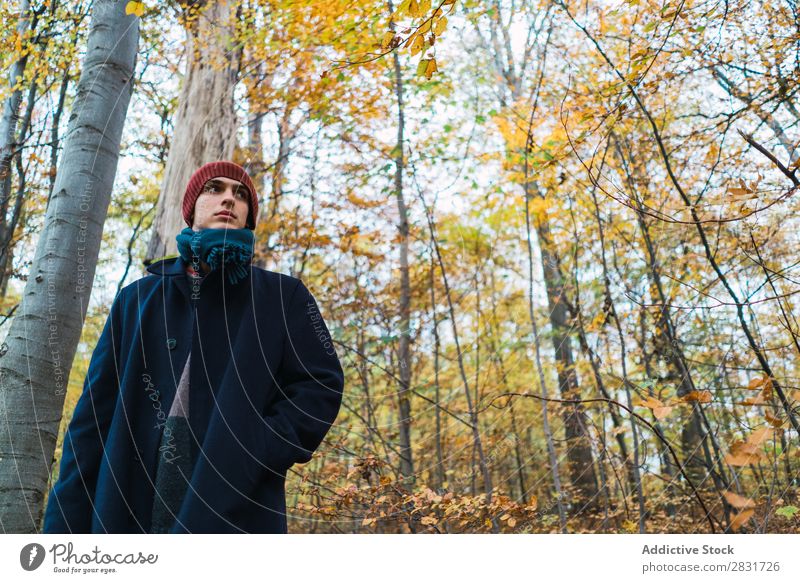 Mann posiert im herbstlichen Wald Straße Jugendliche Stadt Lifestyle lässig Mode Stil warme Kleidung Erwachsene modern Mensch trendy Typ