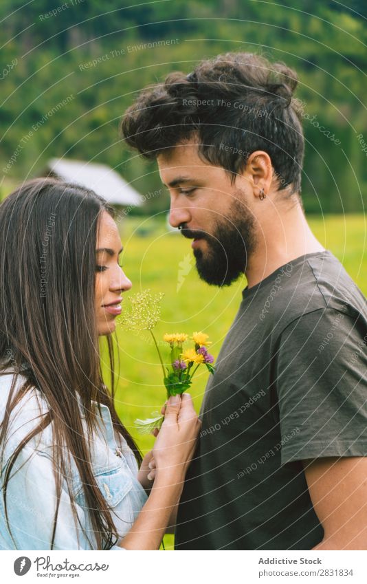 Ein paar Kuscheltiere auf der Wiese Paar Hügel Kuscheln Blume Haufen klein Natur Sommer Mensch Mann Frau Liebe Gras schön Zusammensein Jugendliche Glück