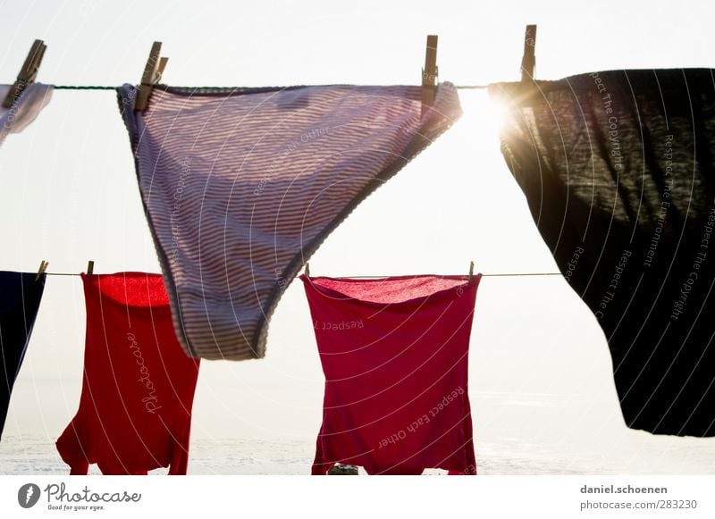 die Höschen der Nachbarin Häusliches Leben Mode Bekleidung T-Shirt Unterwäsche hell rot weiß Licht Sonnenlicht Sonnenstrahlen Gegenlicht