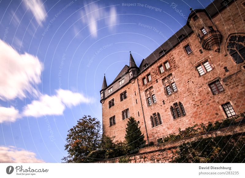 Aus einer anderen Zeit Ferien & Urlaub & Reisen Tourismus Sightseeing Städtereise Himmel Wolken Frühling Sommer Herbst Schönes Wetter Pflanze Baum Sträucher