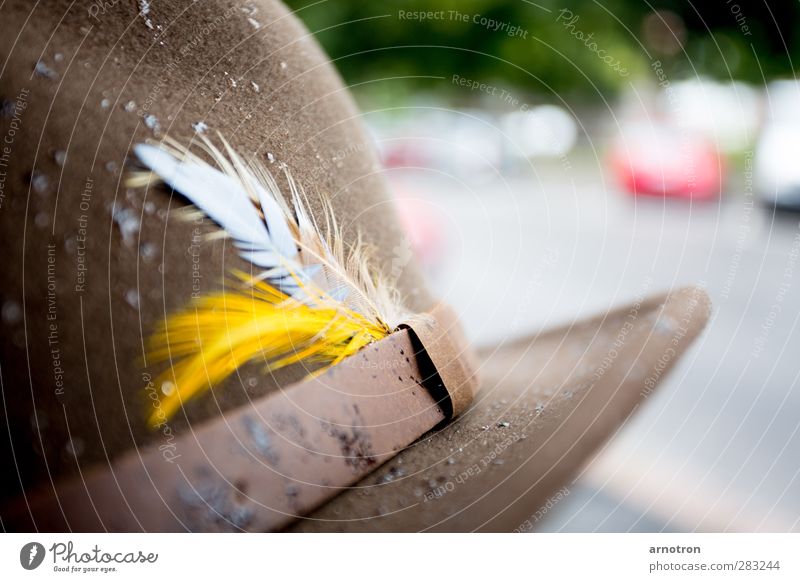 put your hat on when it's raining Bekleidung Filz Filzhüte Accessoire Hut Leder braun gelb geduldig Federschmuck Farbfoto Nahaufnahme Menschenleer