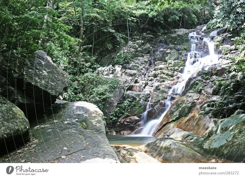 Wasserfall Pulau Tioman Ferien & Urlaub & Reisen Tourismus Ausflug Expedition Sommer Insel Natur Wildnis Asien Urwald Langzeitbelichtung Erholung Baum grün