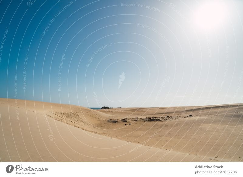 Geräumige Sandflächen an der Küste Sonne Meer Natur tropisch Idylle Sonnenstrahlen Sonnenlicht Landschaft Horizont Erholung Strand ruhig Gelände exotisch