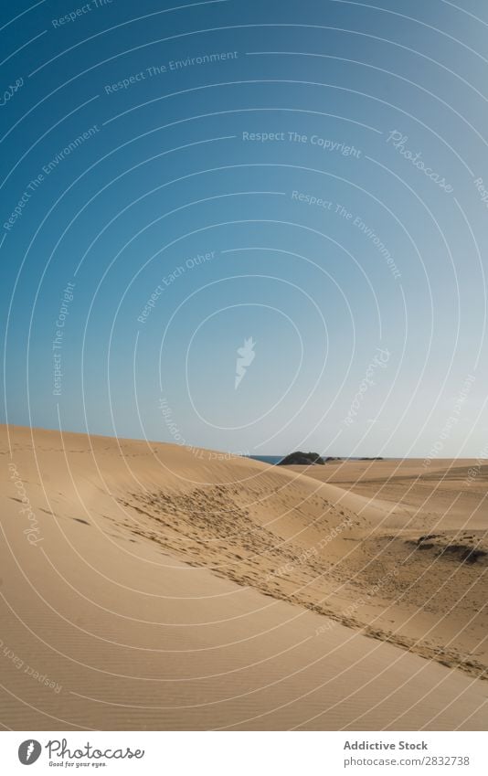 Geräumige Sandflächen an der Küste Sonne Meer Natur tropisch Idylle Sonnenstrahlen Sonnenlicht Landschaft Horizont Erholung Strand ruhig Gelände exotisch