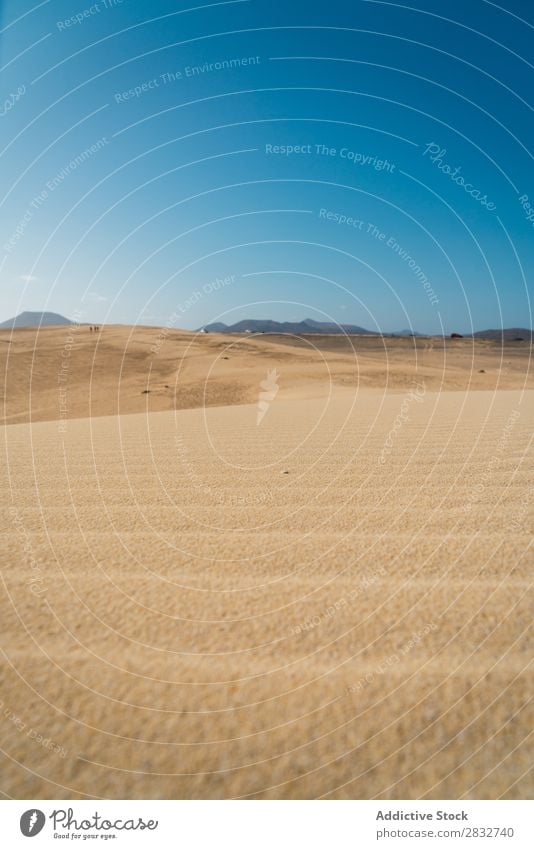 Geräumige Sandflächen an der Küste Sonne Meer Natur tropisch Idylle Sonnenstrahlen Sonnenlicht Landschaft Horizont Erholung Strand ruhig Gelände exotisch