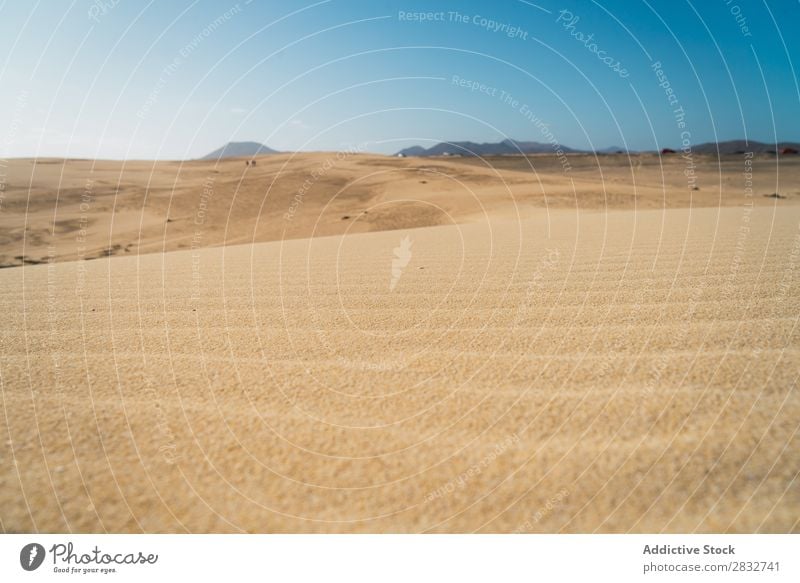 Geräumige Sandflächen an der Küste Sonne Meer Natur tropisch Idylle Sonnenstrahlen Sonnenlicht Landschaft Horizont Erholung Strand ruhig Gelände exotisch