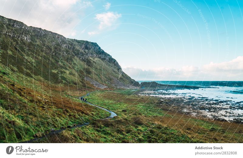 Kleine Straße am Meer Küste Seeküste Felsen Landschaft Strand Natur Wasser natürlich Meereslandschaft Stein schön grün Gras Nordirland Ferien & Urlaub & Reisen