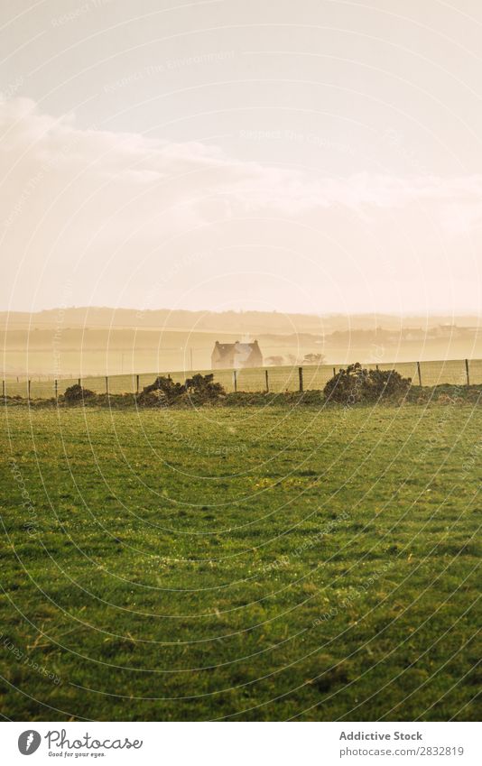 Grüne Wiese auf dem Land Natur grün Feld Landschaft Bauernhof ländlich Gras natürlich Landen Länder schön Sonnenstrahlen Aussicht Umwelt Horizont Wetter