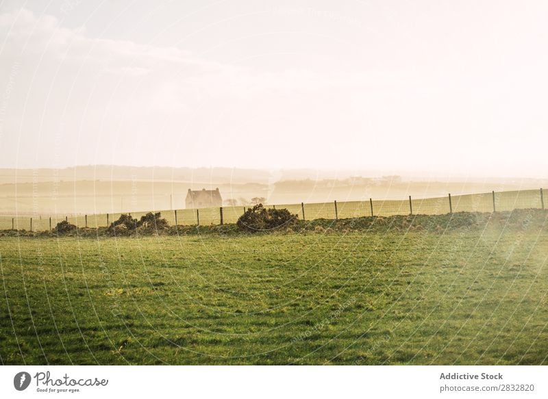 Grüne Wiese auf dem Land Natur grün Feld Landschaft Bauernhof ländlich Gras natürlich Landen Länder schön Sonnenstrahlen Aussicht Umwelt Horizont Wetter