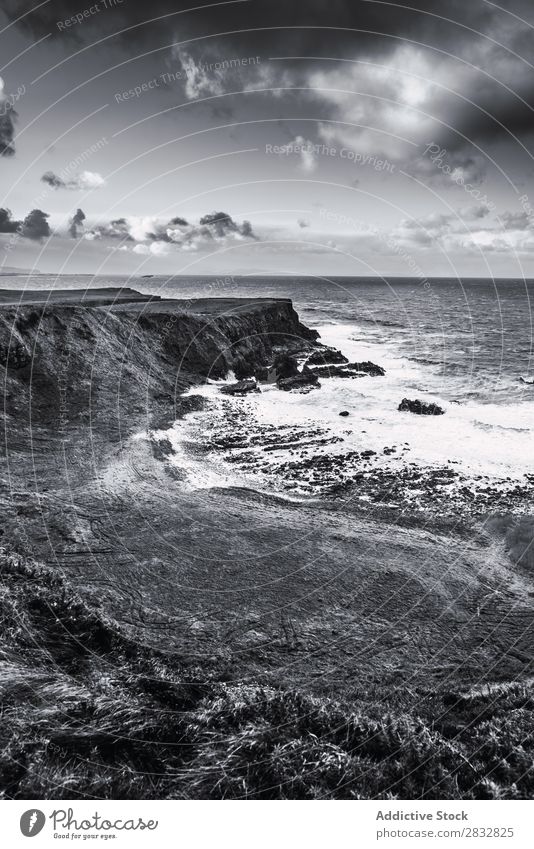 BW Aufnahme von der Felsküste Küste Seeküste Felsen Meer Landschaft Strand Natur Wasser natürlich Meereslandschaft Stein schön Gras Nordirland