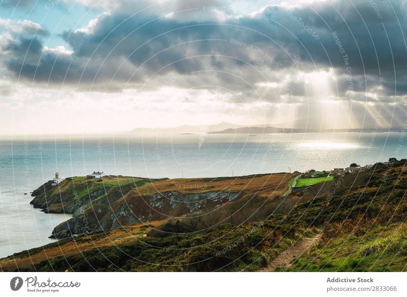 Malerischer Blick auf die grüne Küste Seeküste Felsen Meer Landschaft Strand Natur Wasser natürlich Meereslandschaft Stein schön Gras Ferien & Urlaub & Reisen