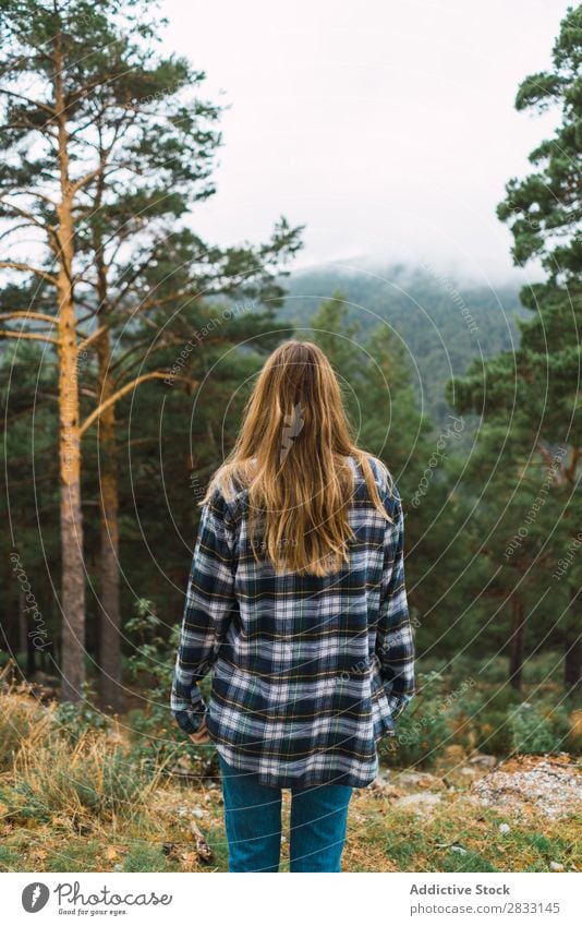 Frau, die im Wald posiert. Natur Jugendliche Mensch Freizeit & Hobby Baum Wege & Pfade erkunden Freiheit lässig schön hübsch attraktiv Aktion Abenteuer