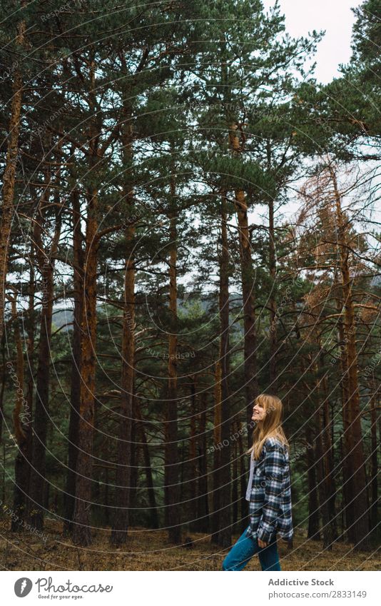 Frau, die im Wald posiert. Natur Jugendliche Mensch Freizeit & Hobby Baum Wege & Pfade erkunden Freiheit lässig schön hübsch attraktiv Aktion Abenteuer