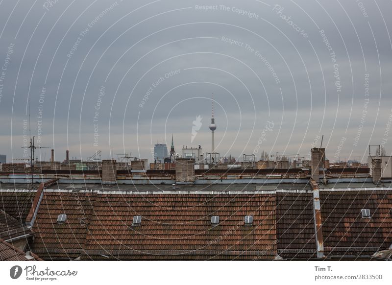 Berlin Stadt Hauptstadt Altstadt Skyline Haus Dach Schornstein Antenne Sehenswürdigkeit Wahrzeichen Fernsehturm Häusliches Leben Prenzlauer Berg Himmel Farbfoto