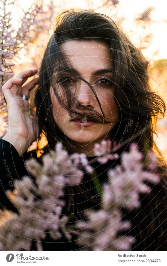 Wunderbare junge Brünette, die in Blumen posiert. Frau Körperhaltung Model Porträt Jugendliche frisch romantisch schön elegant attraktiv modisch natürlich