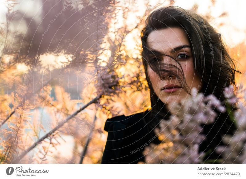 Schöne junge Frau im schwarzen Hemd, die mit wogenden Haaren posiert. Körperhaltung Model Blume Porträt Jugendliche frisch romantisch schön elegant attraktiv