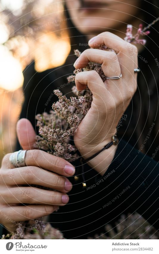 Schneiden Sie weibliche Hände mit Blumen ab. Frau Model Halt Porträt Jugendliche frisch romantisch schön Zärtlichkeit elegant attraktiv Ringe Accessoire